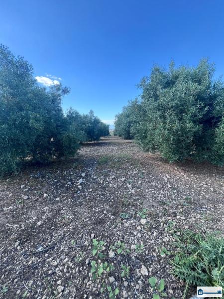 PHOTO-2025-07-09-11-42-40 (11).jpg